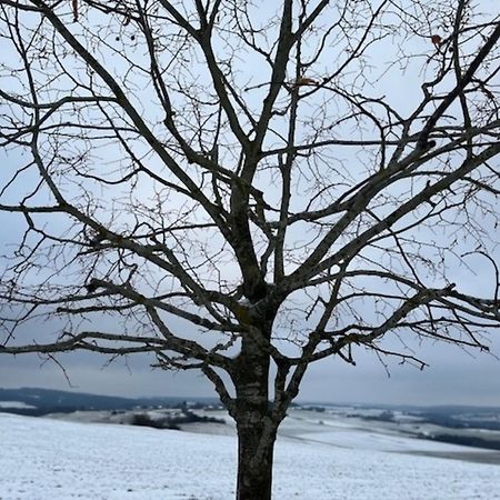 Eifel-Bau-Traum Schlich Villa Wershofen Екстериор снимка