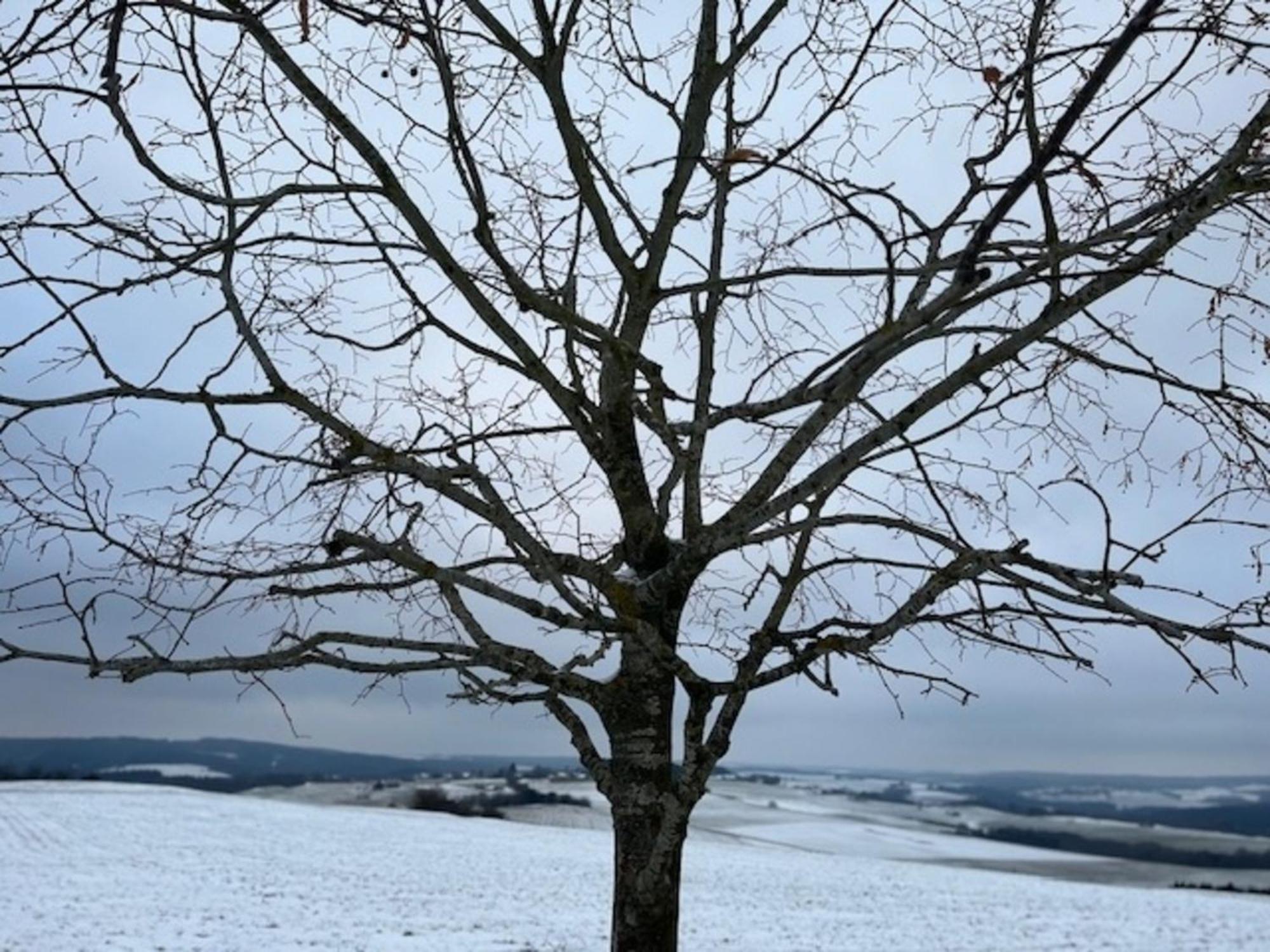 Eifel-Bau-Traum Schlich Villa Wershofen Екстериор снимка